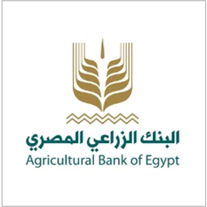 شركة