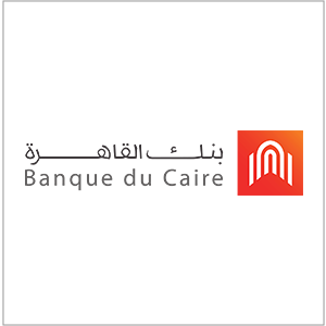 شركة